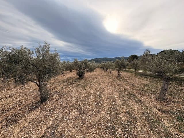 Ubebygd land til salgs i Onil - € 90 000 (Ref: 9439661)