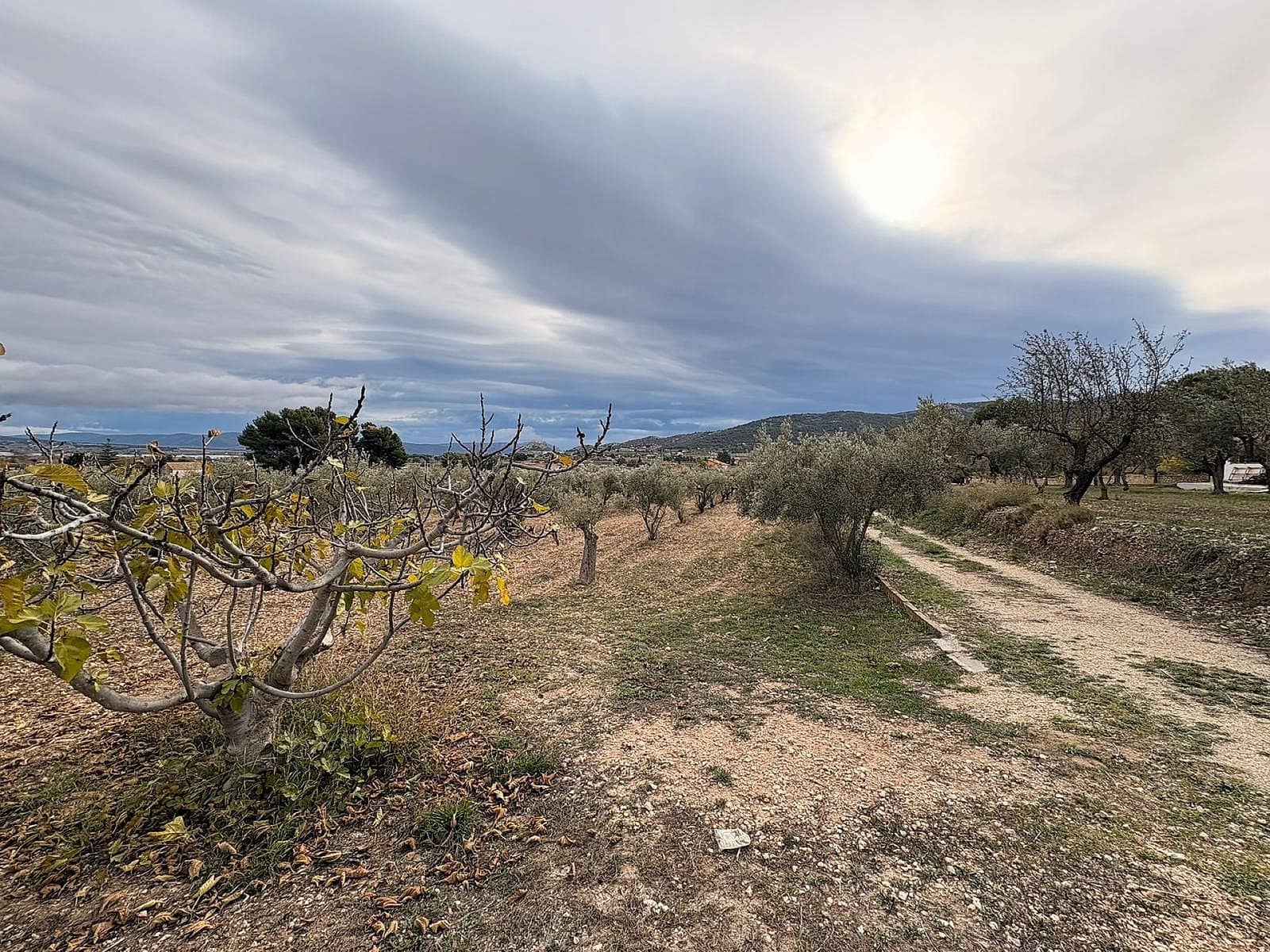 Grond te koop in Onil - € 90.000 (Ref: 9439661)