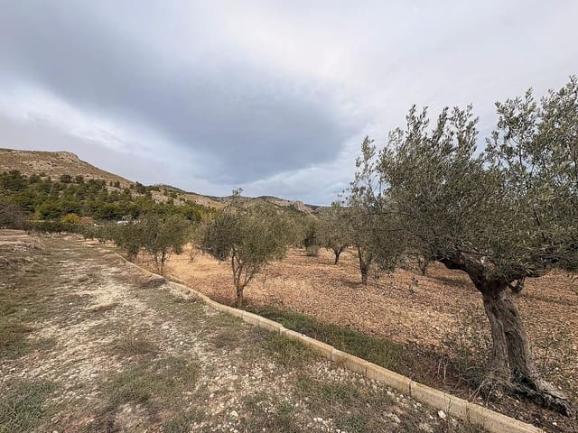 Ubebygd land til salgs i Onil - € 90 000 (Ref: 9439661)