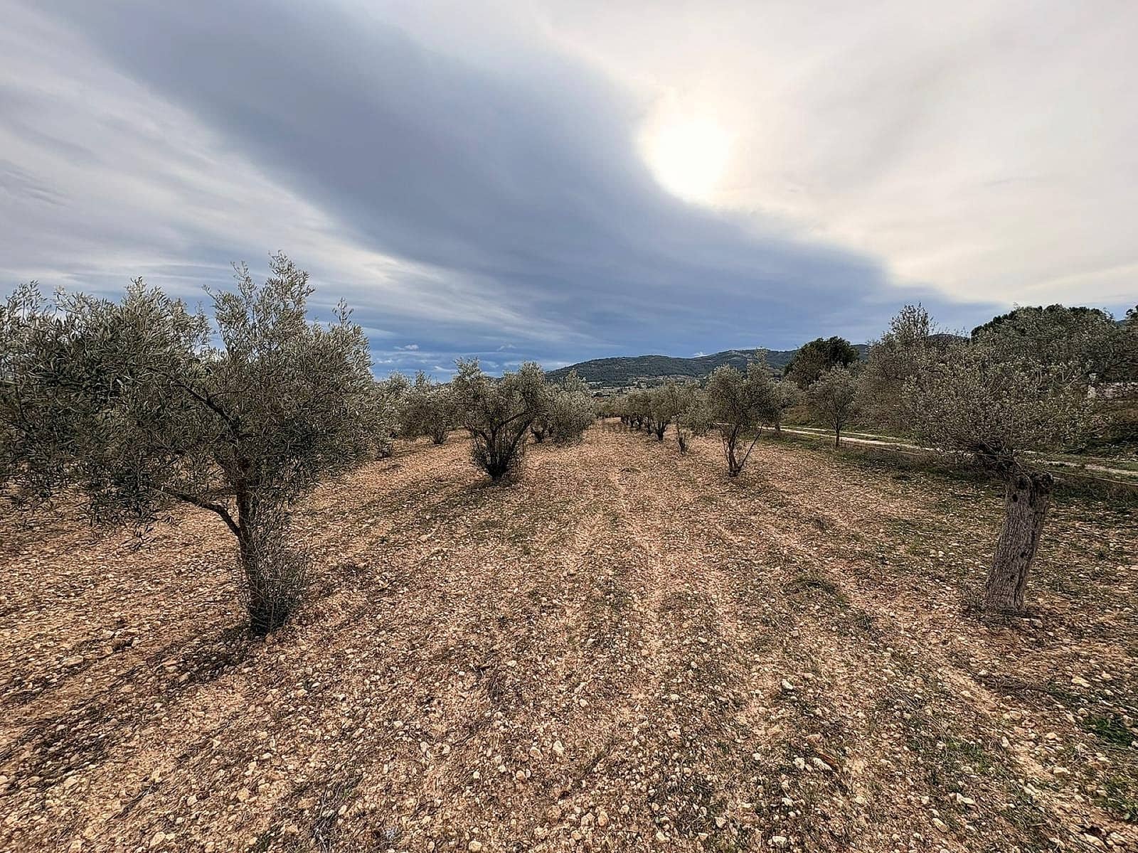 Landgrundstück zu verkaufen in Onil - 90.000 € (Ref: 9439661)