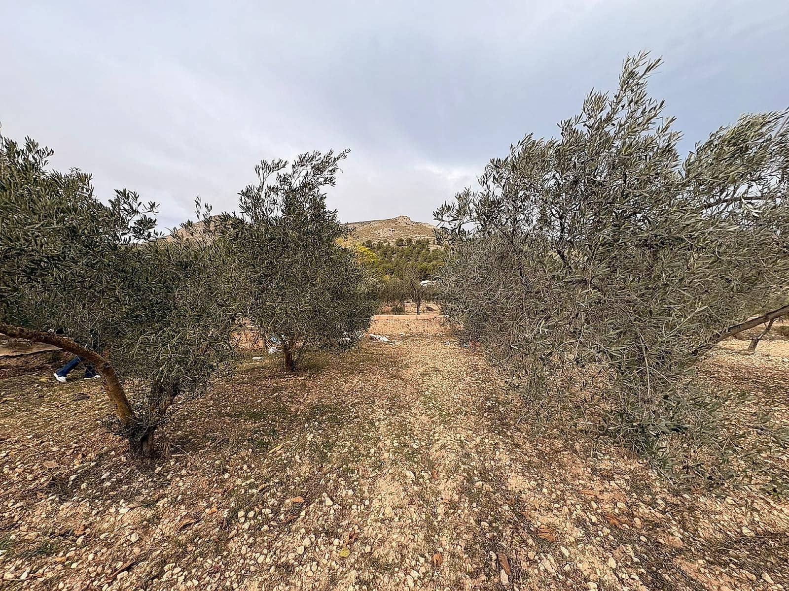 Landgrundstück zu verkaufen in Onil - 90.000 € (Ref: 9439661)