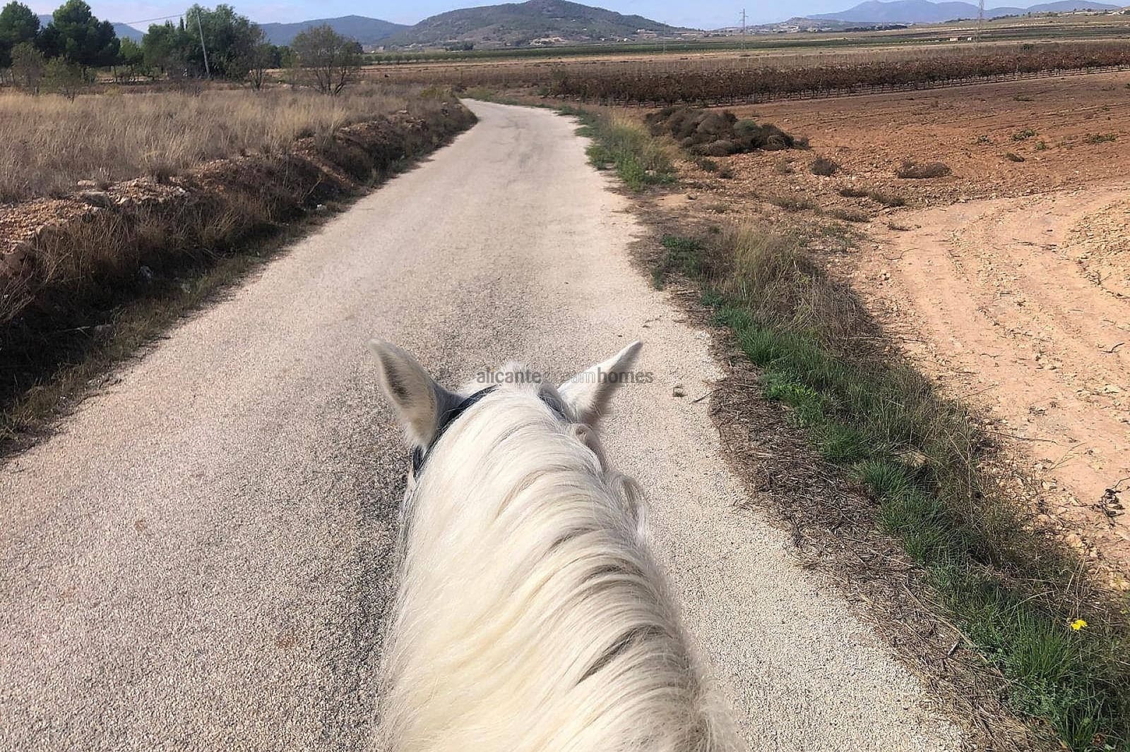 Finca/Casa Rural de 3 habitaciones en Monóvar / Monóver en venta con piscina garaje - 200.000 € (Ref: 9439662)