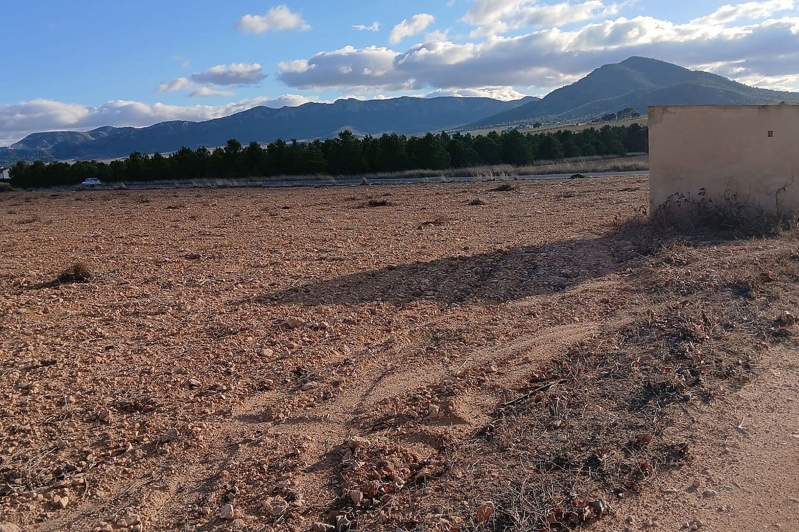 Undeveloped Land for sale in Yecla - € 37,000 (Ref: 9439663)