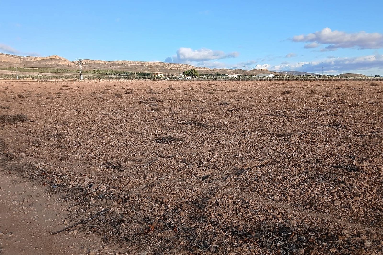 Terreno Não Urbanizado para venda em Yecla - 37 000 € (Ref: 9439663)