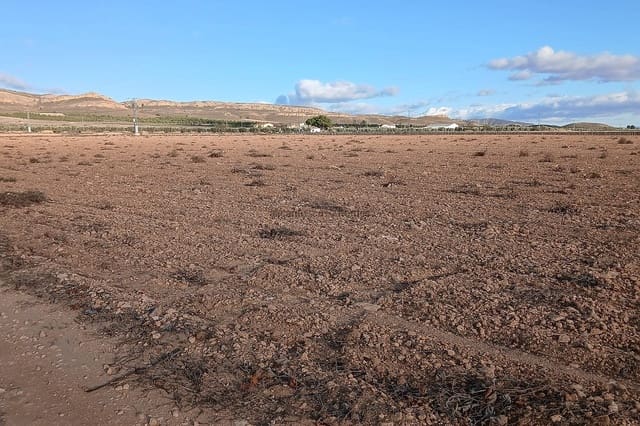 Grunde uden byggetilladelser til salg i Yecla - € 37.000 (Ref: 9439663)