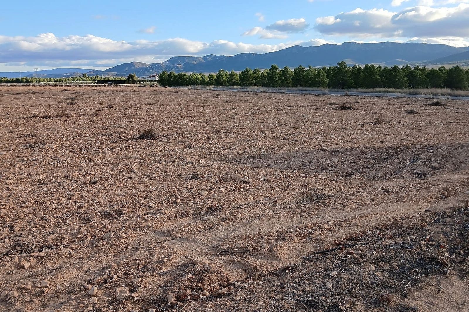 Terreno Não Urbanizado para venda em Yecla - 37 000 € (Ref: 9439663)