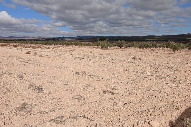 Grond te koop in Yecla - € 216.460 (Ref: 9439664)