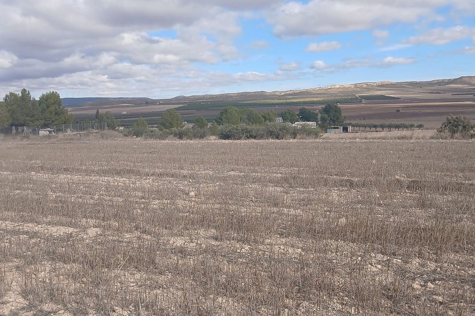 Grond te koop in Yecla - € 216.460 (Ref: 9439664)