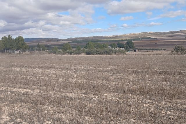 Grond te koop in Yecla - € 216.460 (Ref: 9439664)