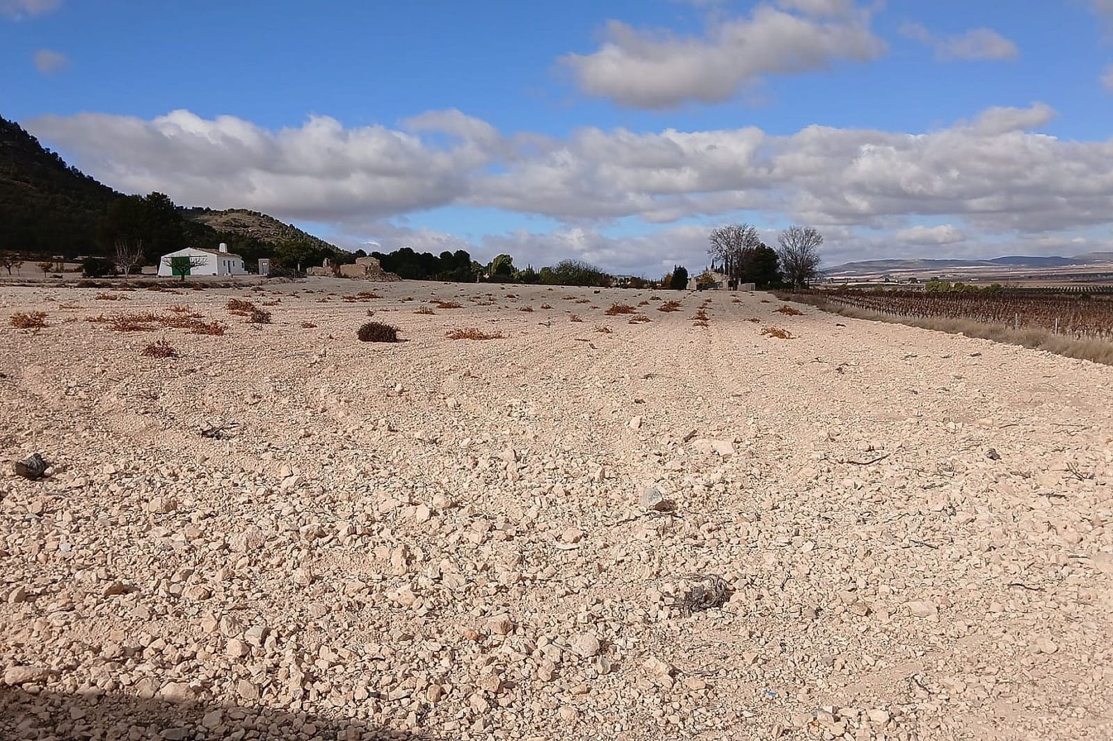 Grond te koop in Yecla - € 216.460 (Ref: 9439664)