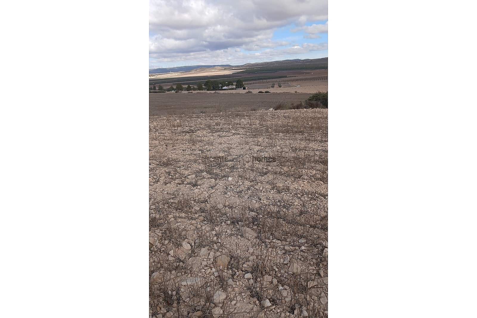 Terreno Não Urbanizado para venda em Yecla - 216 460 € (Ref: 9439664)