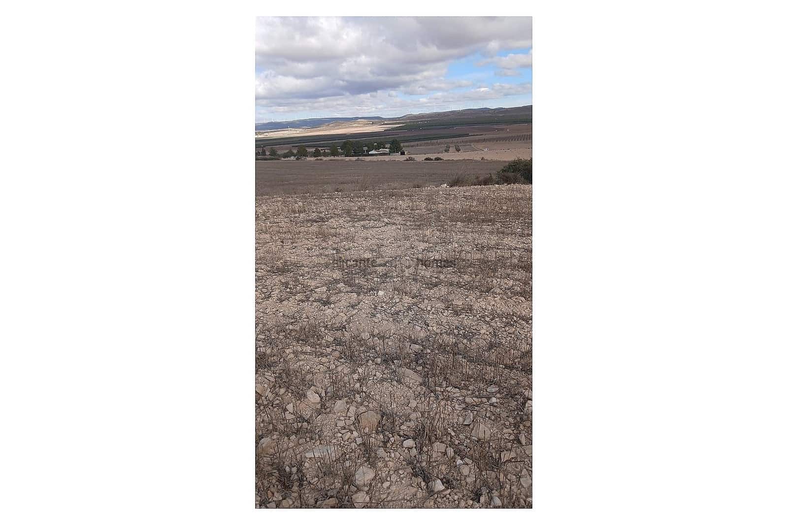 Terreno Não Urbanizado para venda em Yecla - 216 460 € (Ref: 9439664)