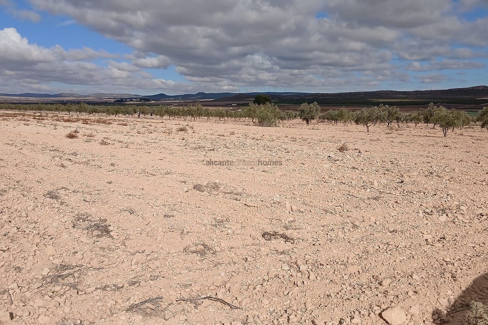 Terreno Não Urbanizado para venda em Yecla - 216 460 € (Ref: 9439664)