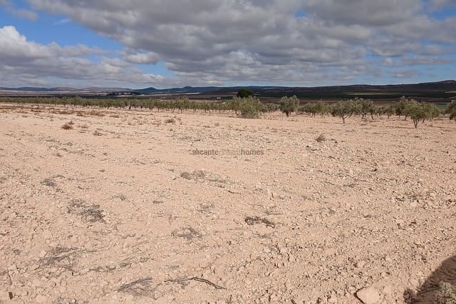 Grunde uden byggetilladelser til salg i Yecla - € 216.460 (Ref: 9439664)