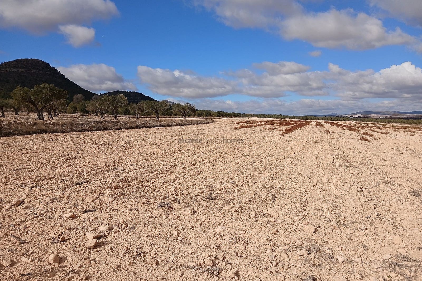 Terreno Não Urbanizado para venda em Yecla - 216 460 € (Ref: 9439664)