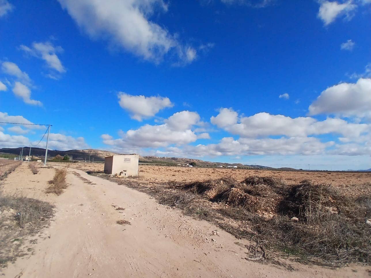 Ubebygd land til salgs i Yecla - € 37 000 (Ref: 9448552)