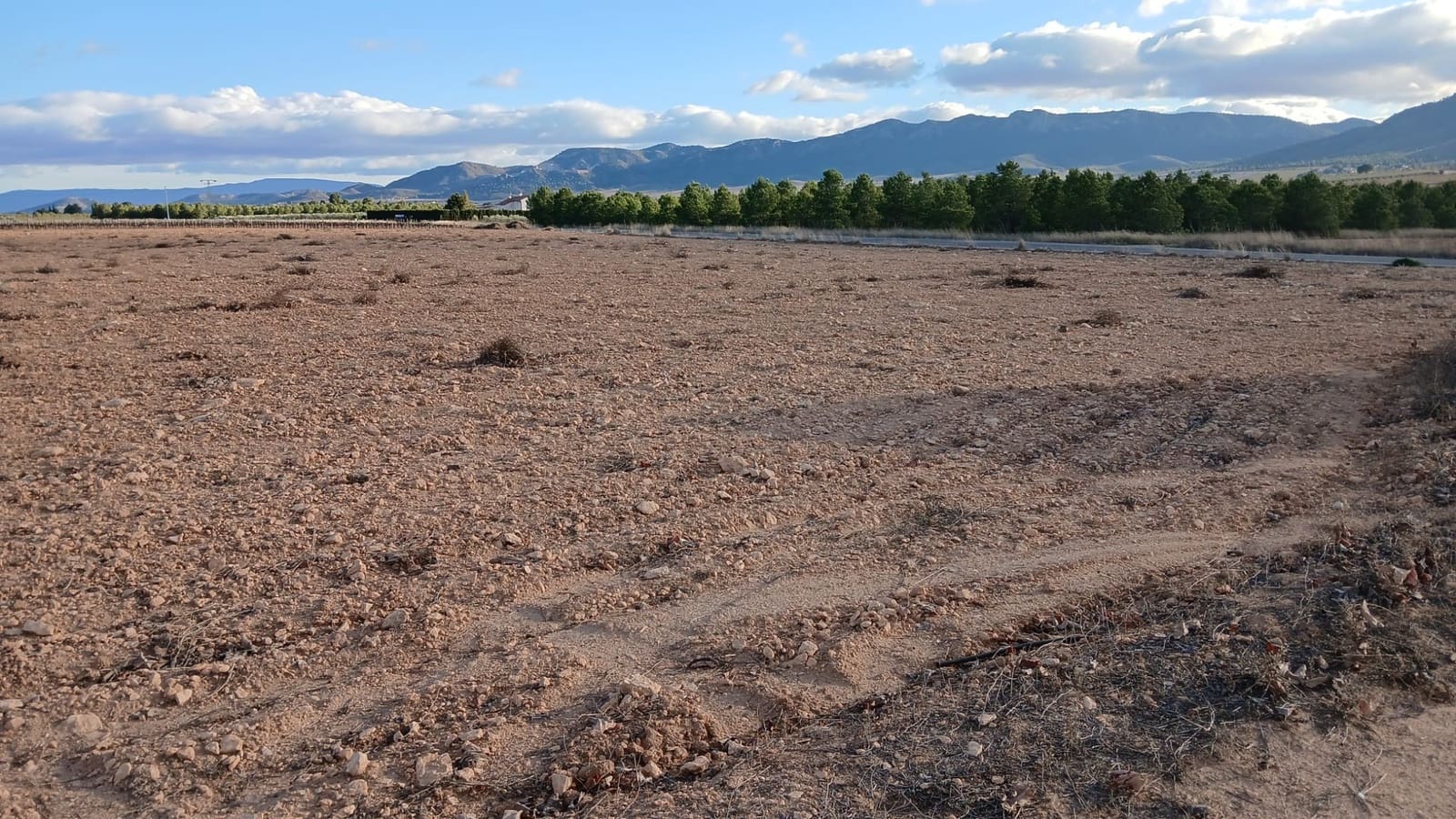 Ubebygd land til salgs i Yecla - € 37 000 (Ref: 9448552)