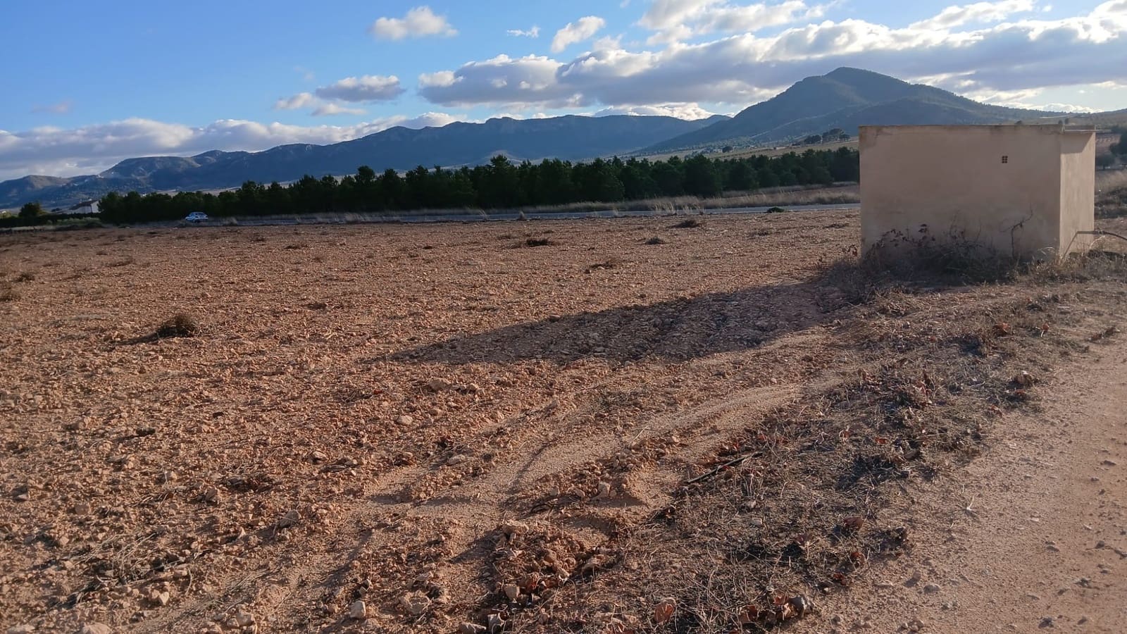 Ubebygd land til salgs i Yecla - € 37 000 (Ref: 9448552)