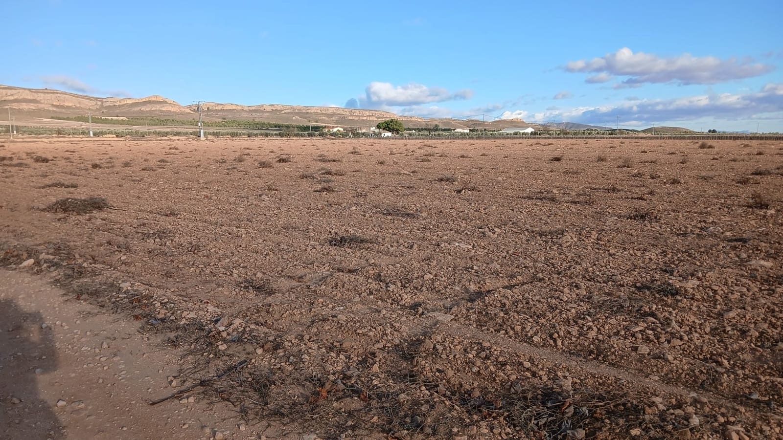 Ubebygd land til salgs i Yecla - € 37 000 (Ref: 9448552)