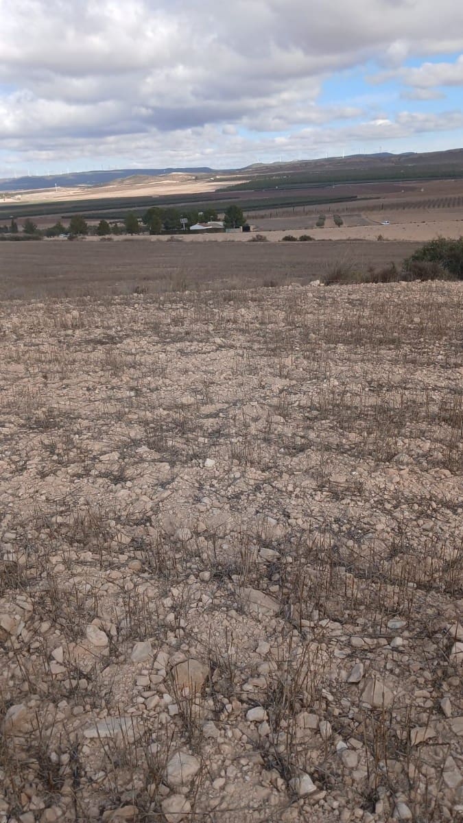 Ubebygd land til salgs i Yecla - € 216 460 (Ref: 9448553)