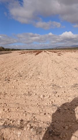 Undeveloped Land for sale in Yecla - € 216,460 (Ref: 9448553)