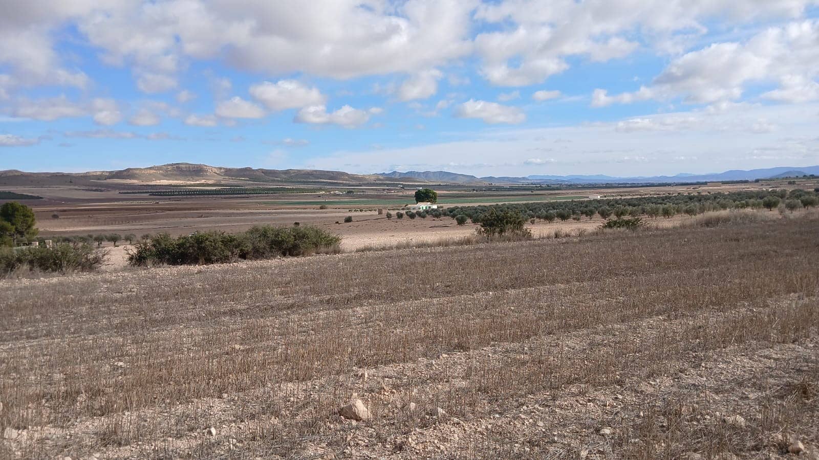 Ubebygd land til salgs i Yecla - € 216 460 (Ref: 9448553)