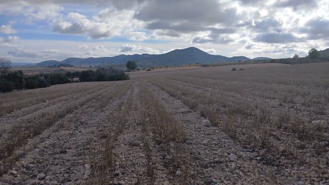 Undeveloped Land for sale in Yecla - € 216,460 (Ref: 9448553)