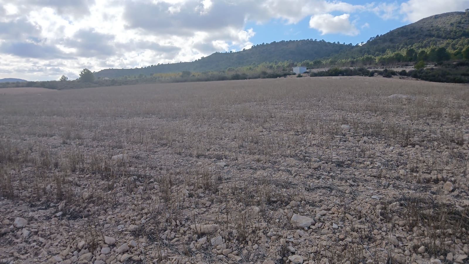 Ubebygd land til salgs i Yecla - € 216 460 (Ref: 9448553)