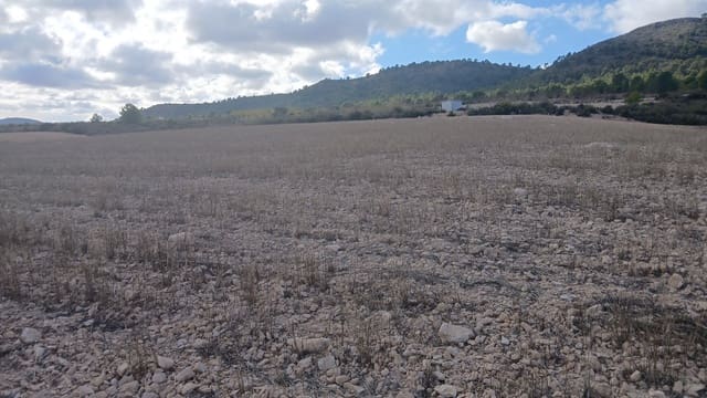 Undeveloped Land for sale in Yecla - € 216,460 (Ref: 9448553)
