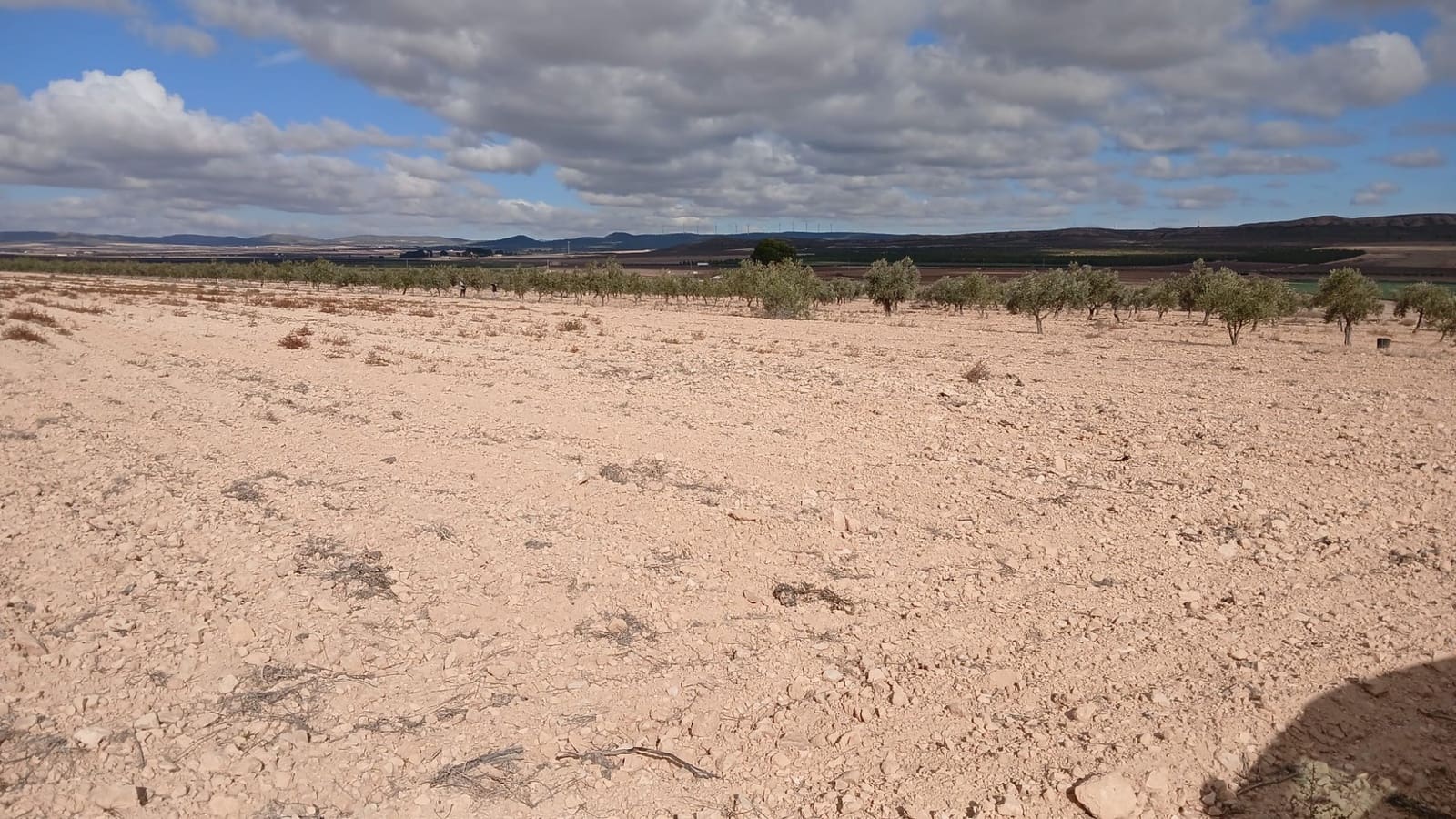 Ubebygd land til salgs i Yecla - € 216 460 (Ref: 9448553)