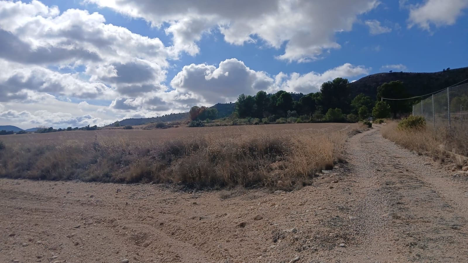 Ubebygd land til salgs i Yecla - € 216 460 (Ref: 9448553)