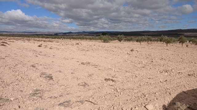 Undeveloped Land for sale in Yecla - € 216,460 (Ref: 9448553)