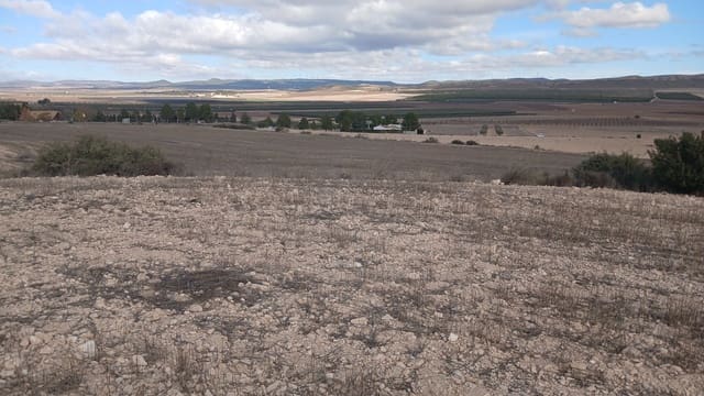 Undeveloped Land for sale in Yecla - € 216,460 (Ref: 9448553)