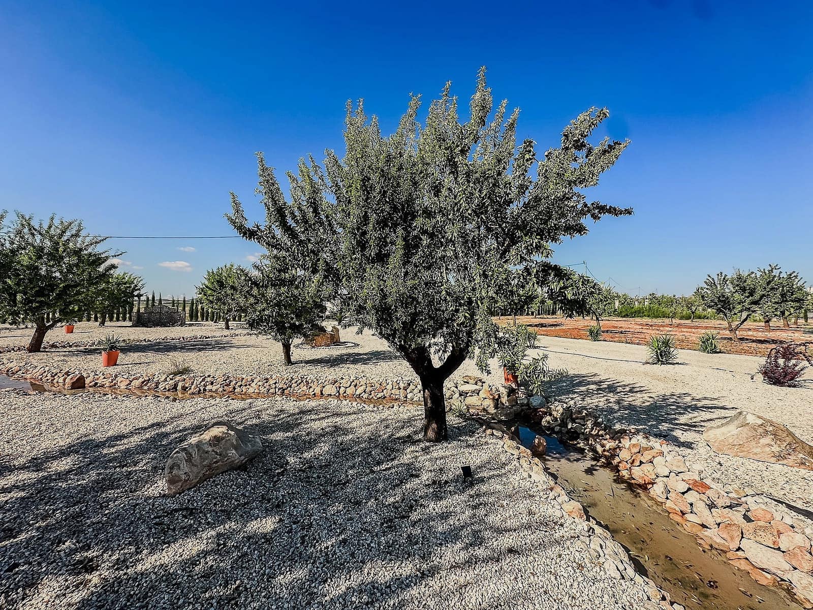 3 quarto Moradia para venda em Pinoso com piscina - 279 995 € (Ref: 9461049)