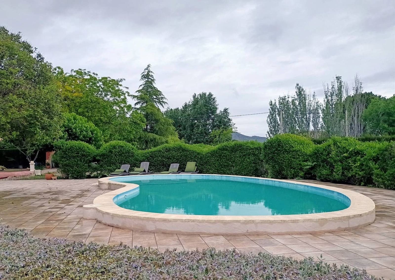 4 soverom Villa til salgs i Salinas med svømmebasseng garasje - € 399 995 (Ref: 9465145)