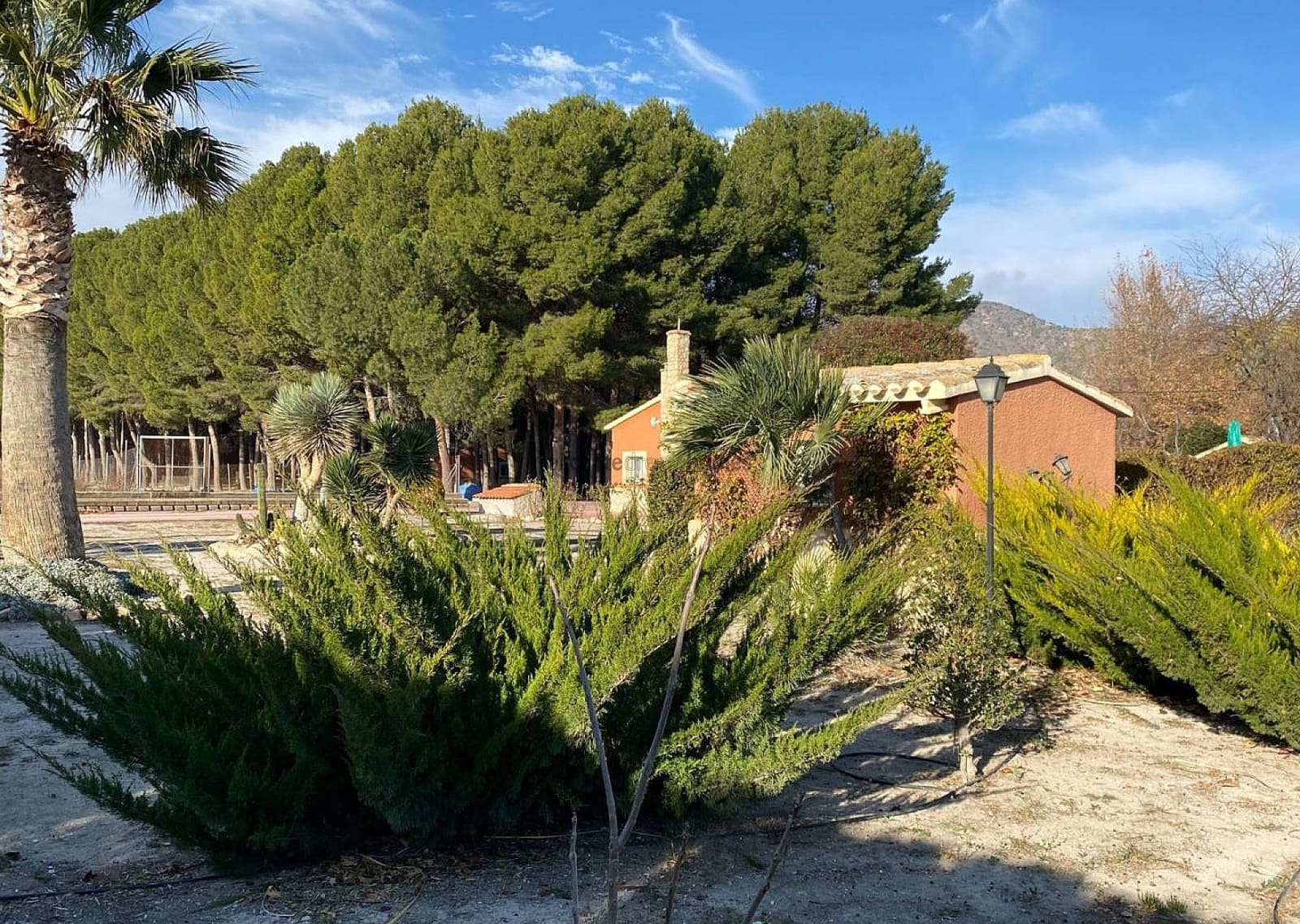 4 soveværelse Villa til salg i Salinas med swimmingpool garage - € 399.995 (Ref: 9465145)