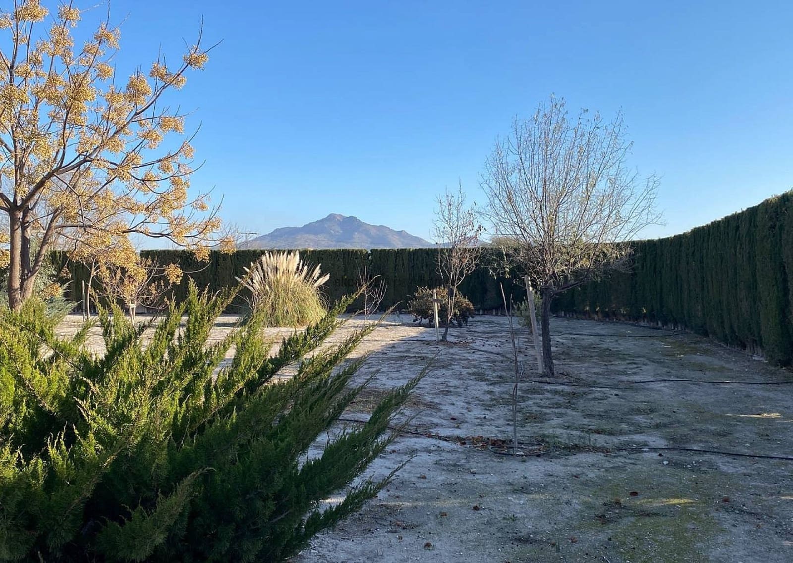 4 soveværelse Villa til salg i Salinas med swimmingpool garage - € 399.995 (Ref: 9465145)