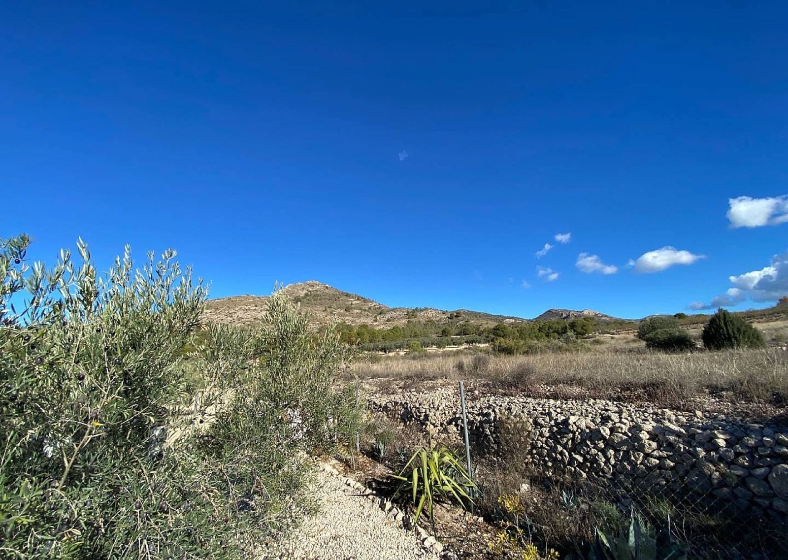 3 makuuhuone Huvila myytävänä paikassa Sax mukana uima-altaan 
autotalli - 399 995 € (Ref: 9465146)