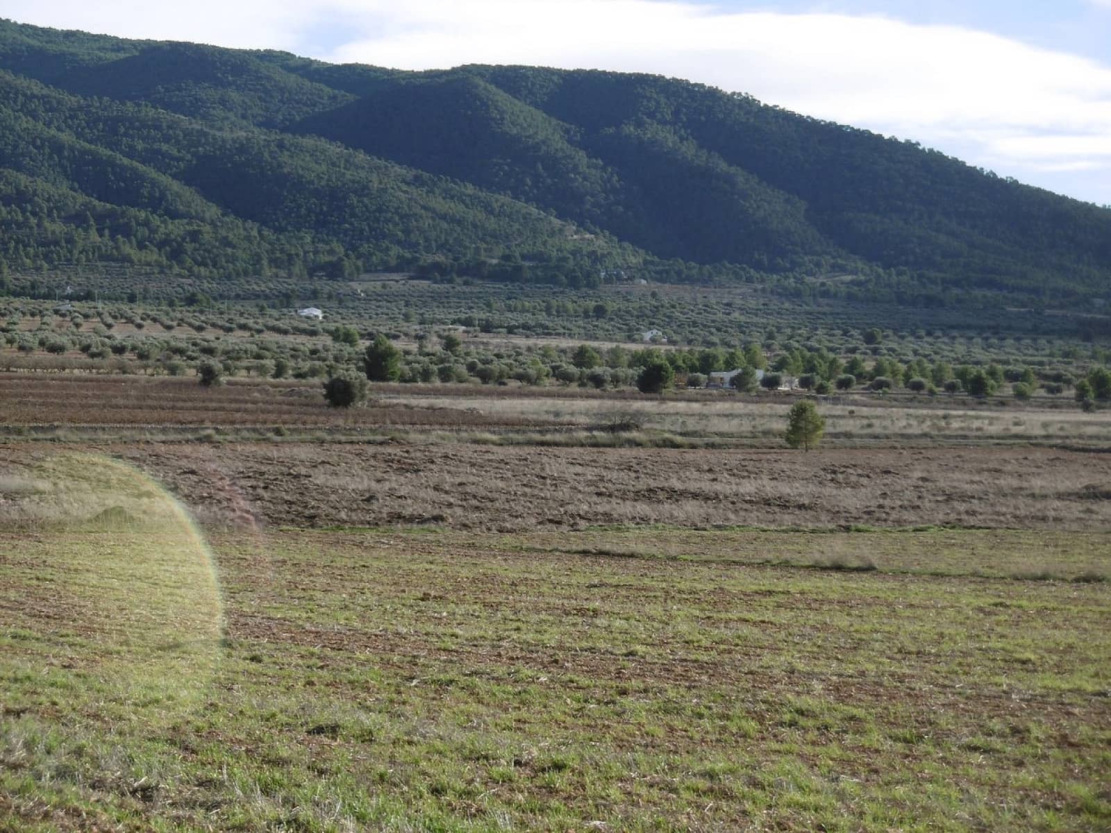 2 bedroom Finca/Country House for sale in Yecla - € 128,900 (Ref: 9473750)