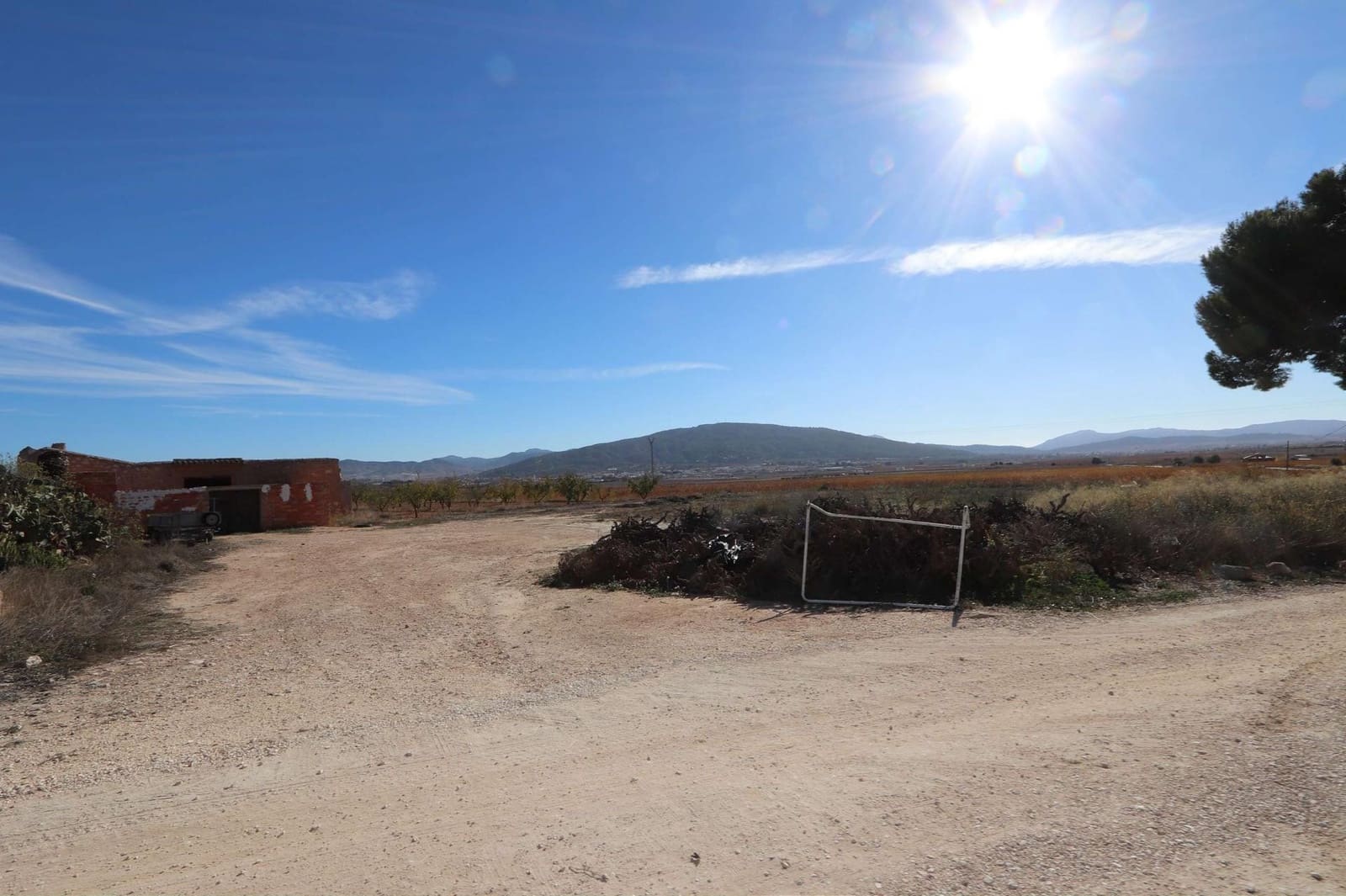 10 bedroom Commercial for sale in Pinoso - € 449,950 (Ref: 9475121)