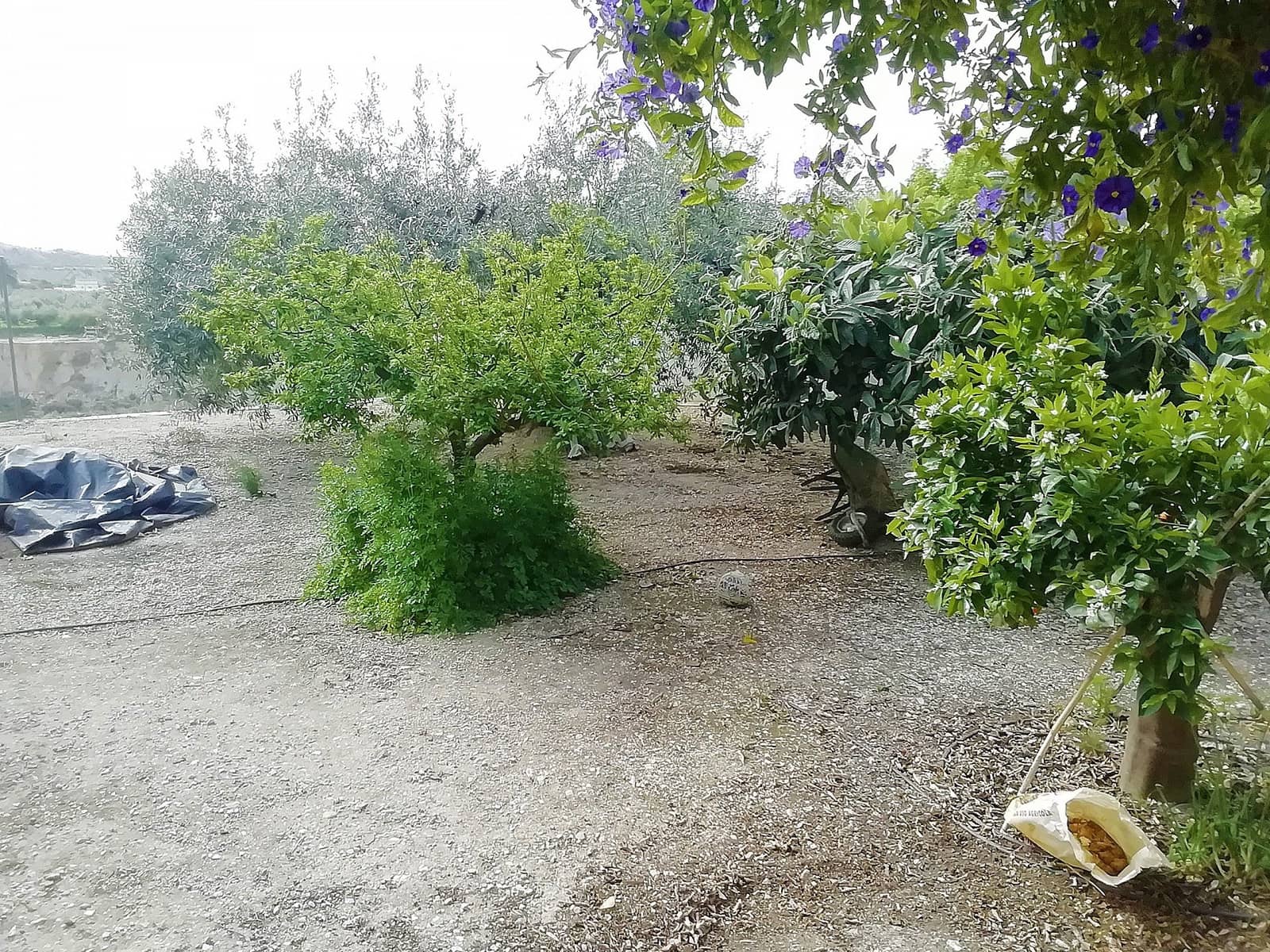 4 bedroom Villa for sale in Abanilla - € 219,995 (Ref: 9475123)