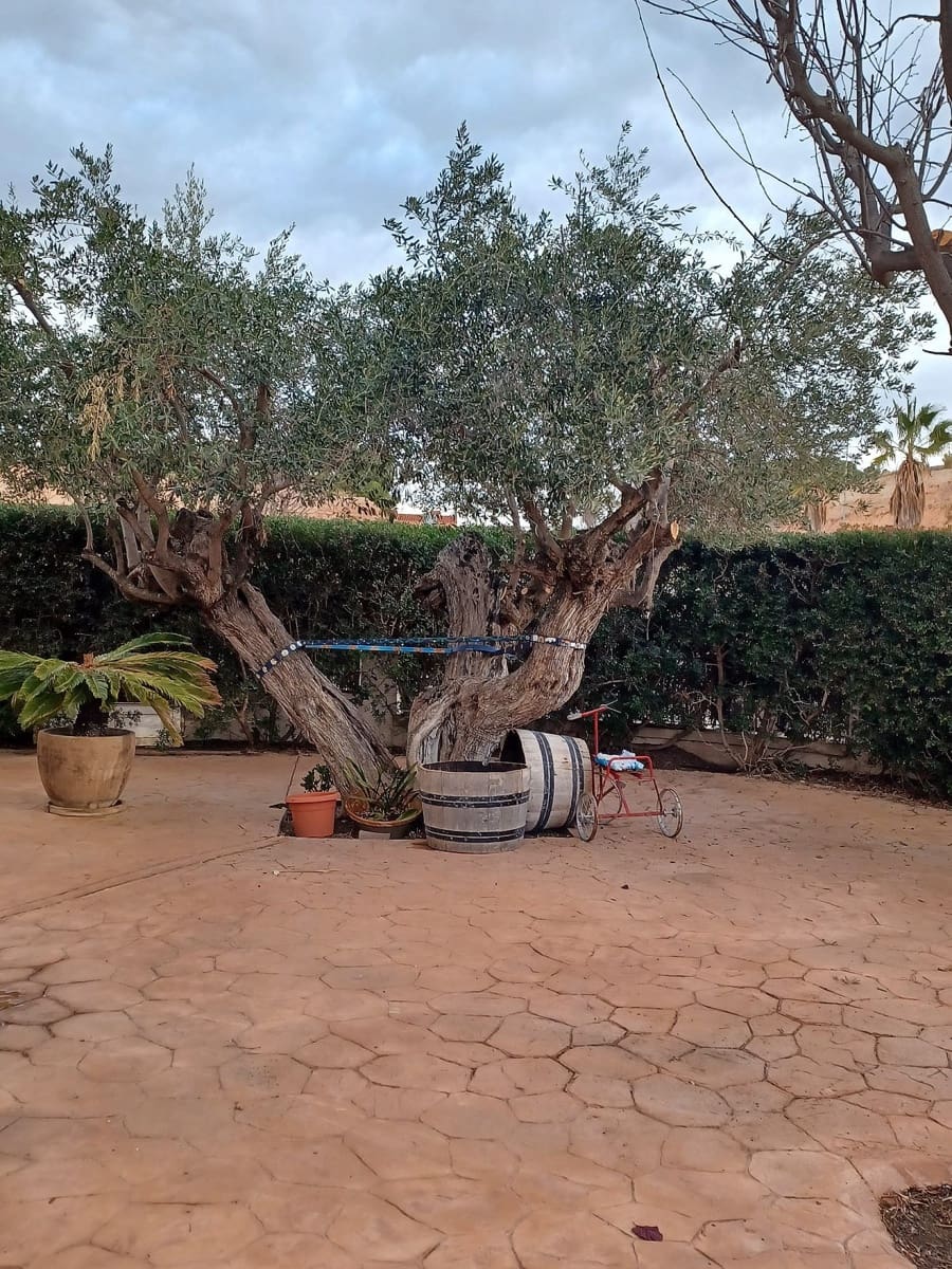 4 bedroom Villa for sale in Monovar / Monover - € 339,950 (Ref: 9475149)