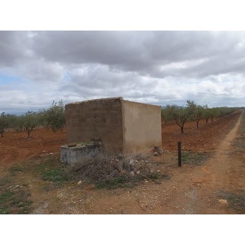 Terre non Aménagée à vendre à Pinoso - 60 000 € (Ref: 9475150)