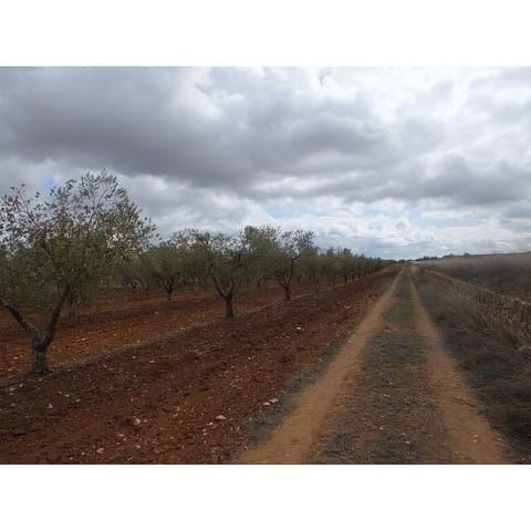 Terre non Aménagée à vendre à Pinoso - 60 000 € (Ref: 9475150)