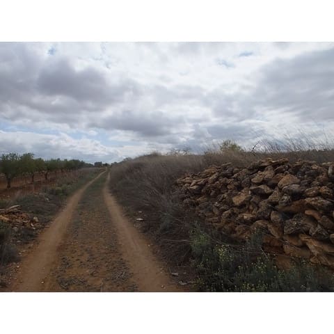 Terre non Aménagée à vendre à Pinoso - 60 000 € (Ref: 9475150)