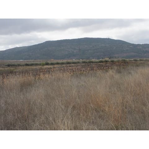 Grunde uden byggetilladelser til salg i Culebron, Pinoso - € 40.000 (Ref: 9475151)