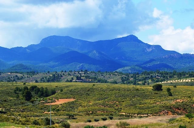 4 soverom Grottehus til salgs i Abanilla - € 95 000 (Ref: 9475163)