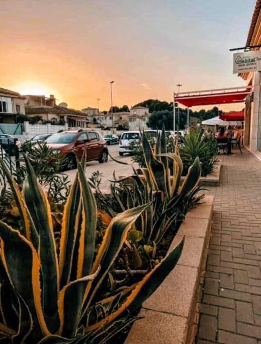 Yritys myytävänä paikassa Castalla - 225 000 € (Ref: 9475193)