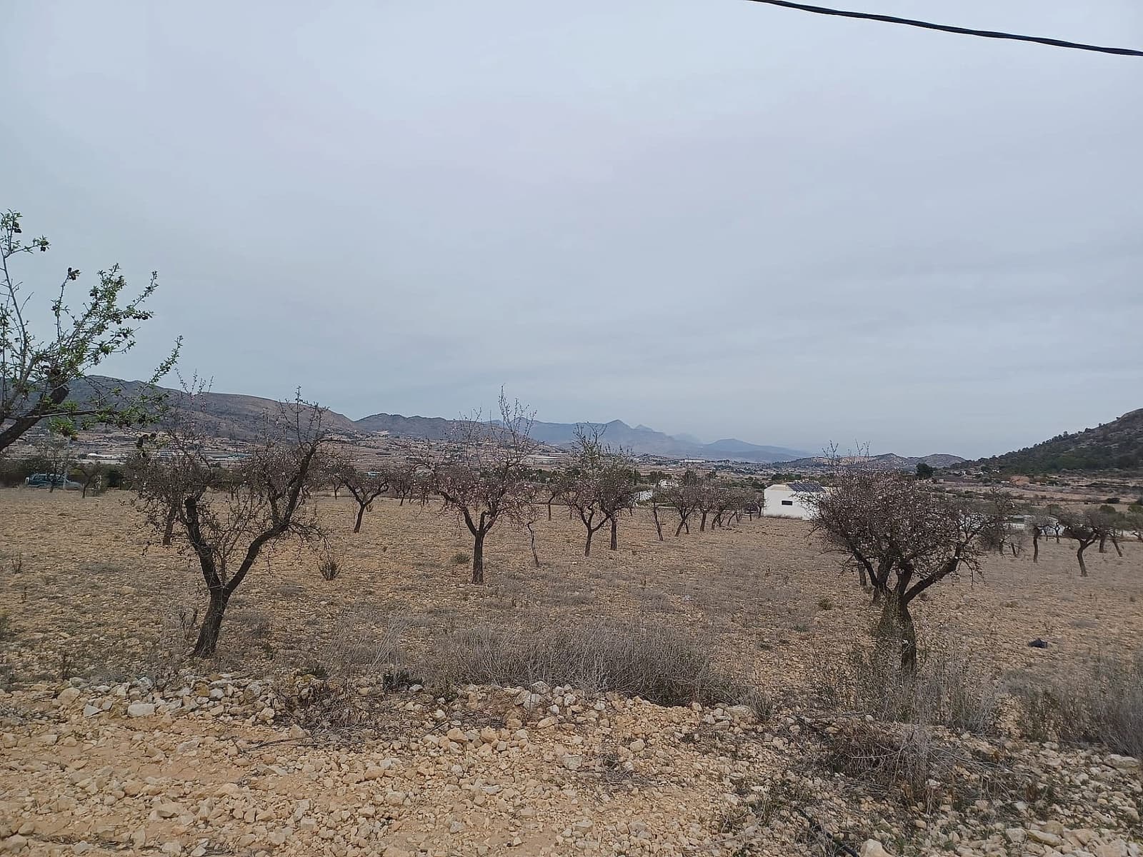 Ubebygd land til salgs i La Romana - € 22 000 (Ref: 9475208)