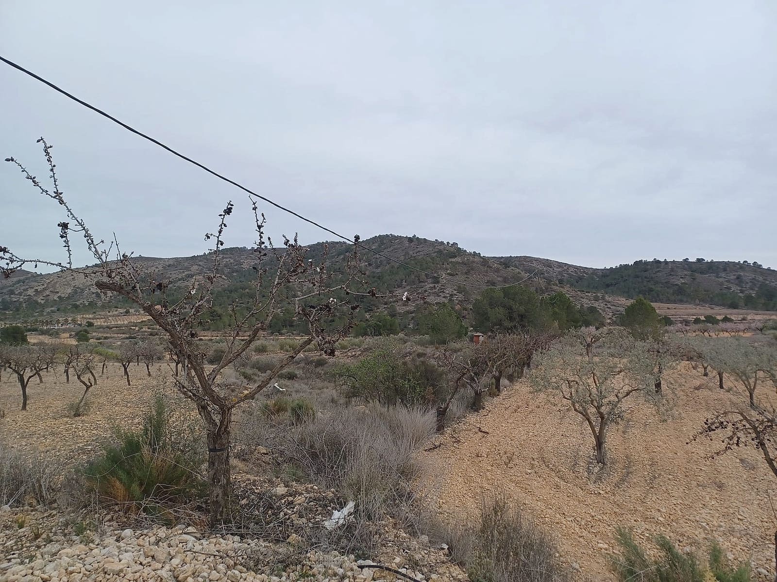 Ubebygd land til salgs i La Romana - € 22 000 (Ref: 9475208)